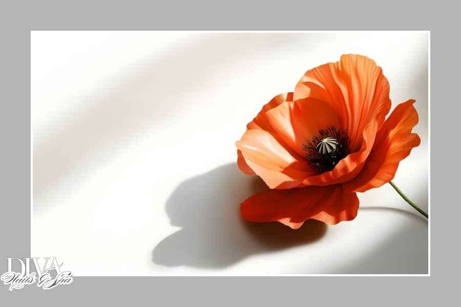 🇨🇦 Lest We Forget