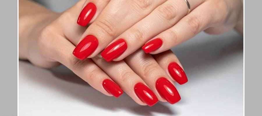 ๐The Holidays are Calling!