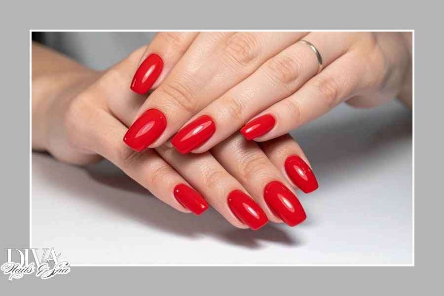 🎄The Holidays are Calling!